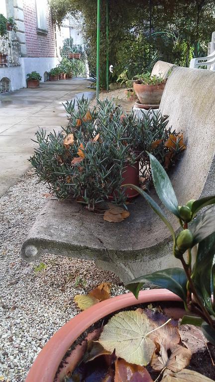Villa Maria Bed & Breakfast, Corridonia, Marche Exteriör bild