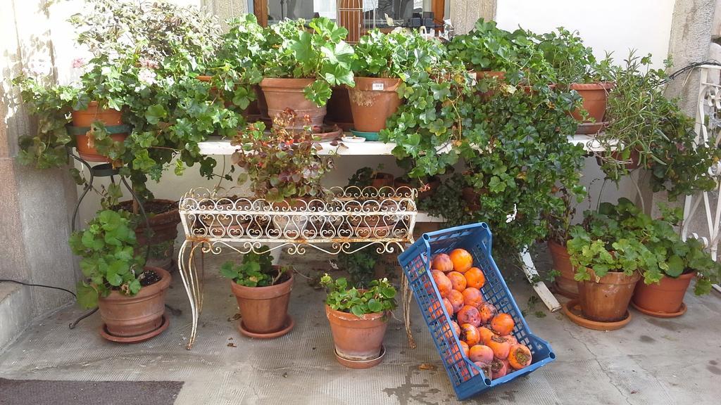 Villa Maria Bed & Breakfast, Corridonia, Marche Exteriör bild