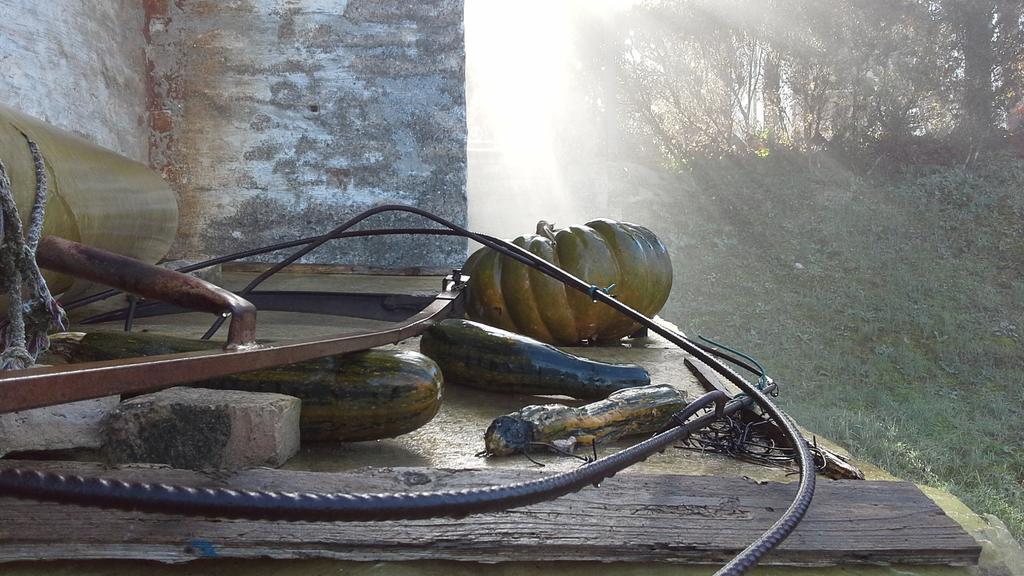 Villa Maria Bed & Breakfast, Corridonia, Marche Exteriör bild